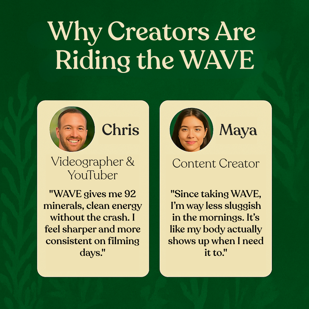 WAVE – Sea Moss Capsules for Creators